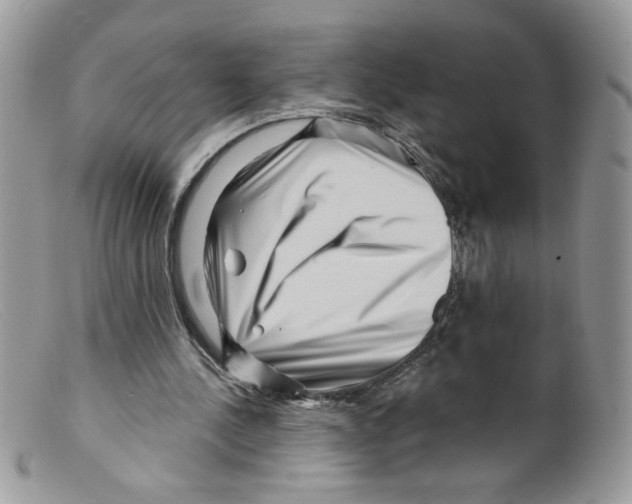 X0000098150244200805151211