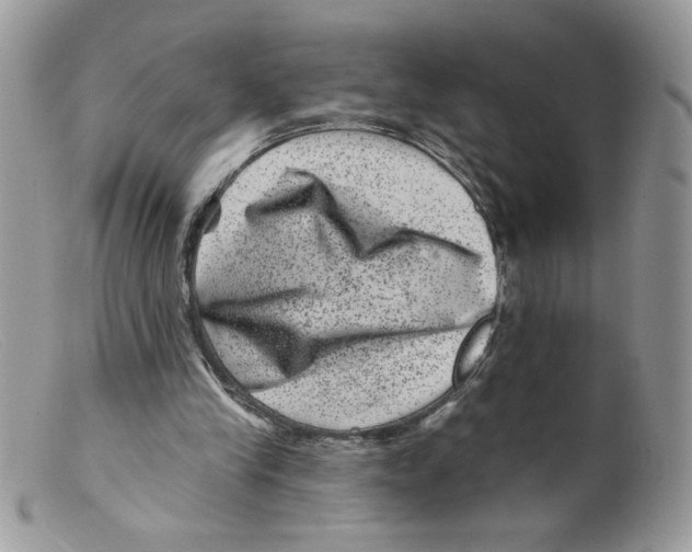 X0000098150245200805151211