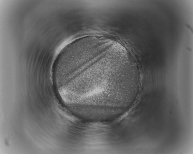 X0000098150246200805151211