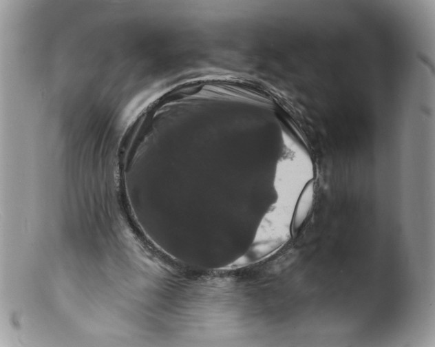 X0000098150247200805151211