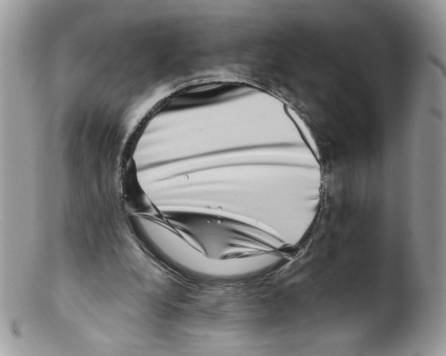 X0000098150248200805151211