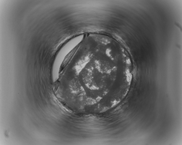 X0000098150249200805151211