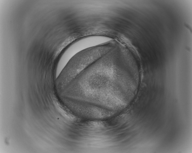 X0000098150250200805151212