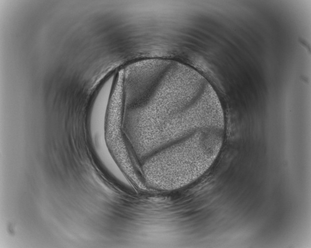 X0000098150251200805151212