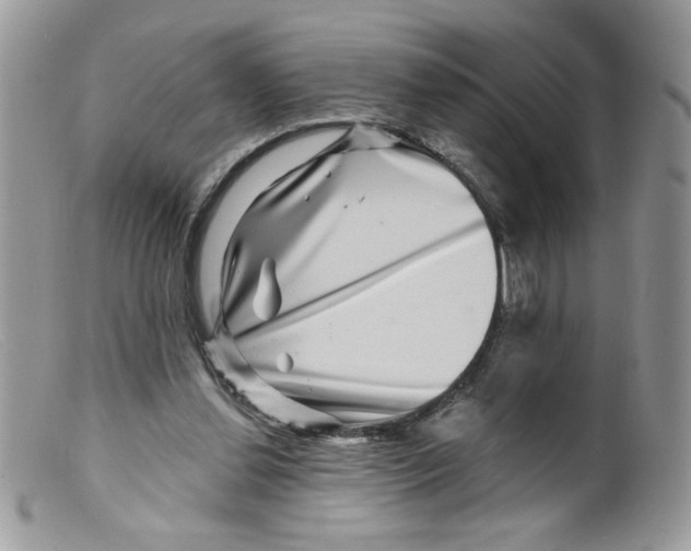 X0000098150252200805151212