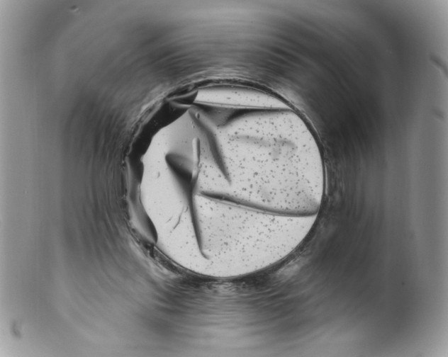 X0000098150253200805151212