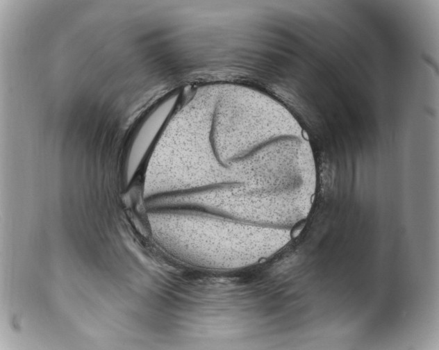 X0000098150254200805151212