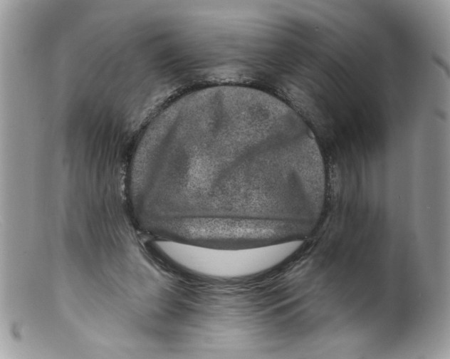 X0000098150255200805151212