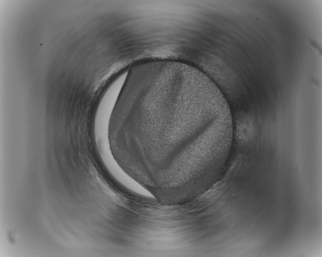 X0000098150256200805151212