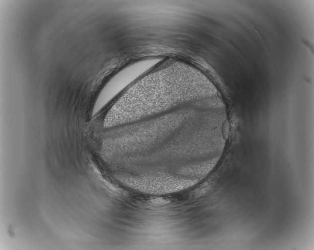 X0000098150257200805151212