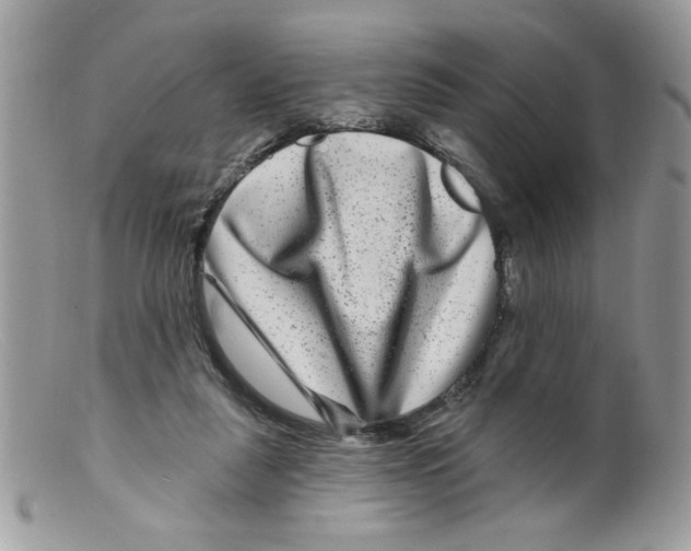 X0000098150259200805151212