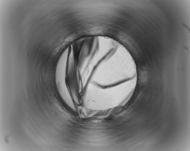 X0000098150260200805151212