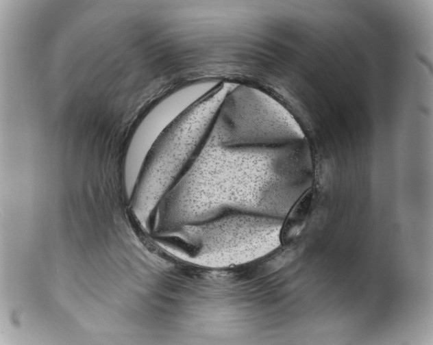 X0000098150261200805151212