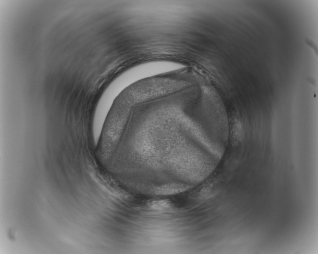 X0000098150262200805151212