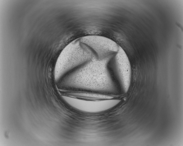 X0000098150263200805151212