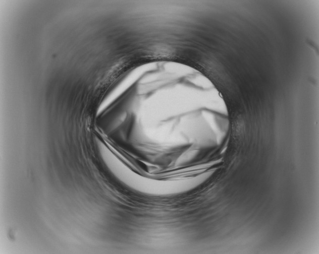 X0000098150264200805151212