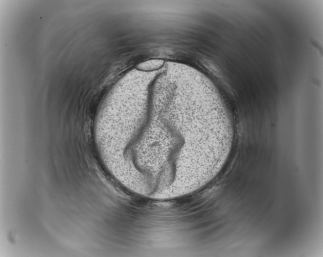 X0000098150265200805151212