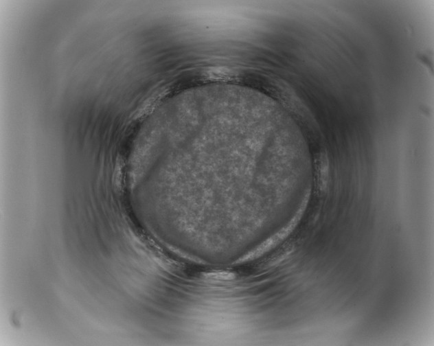 X0000098150266200805151212