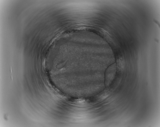 X0000098150267200805151212