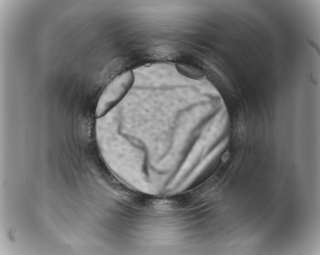 X0000098150268200805151212