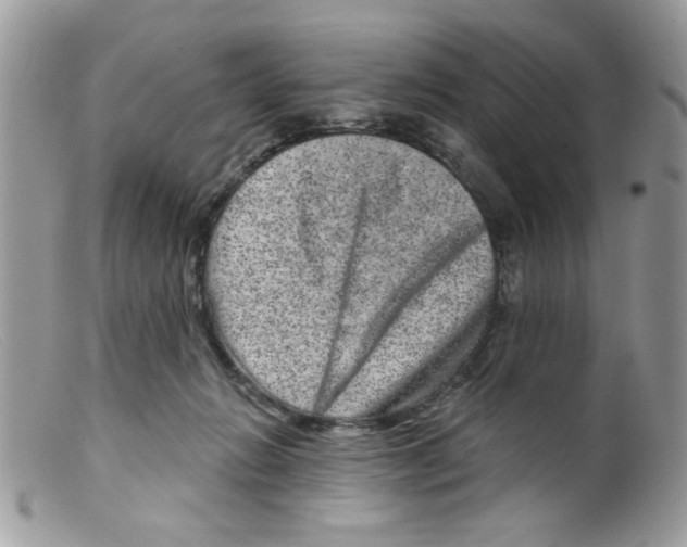 X0000098150270200805151212