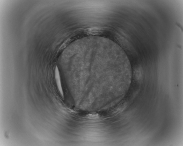 X0000098150271200805151212