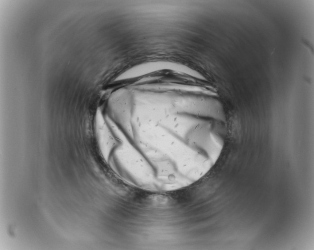 X0000098150272200805151212