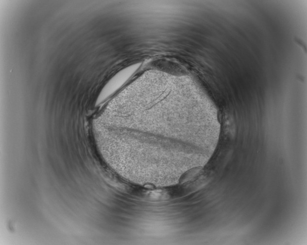 X0000098150275200805151212