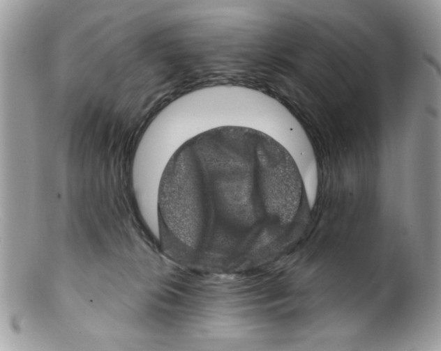 X0000098150276200805151212