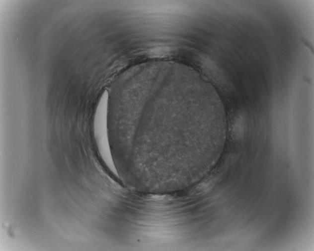 X0000098150277200805151212