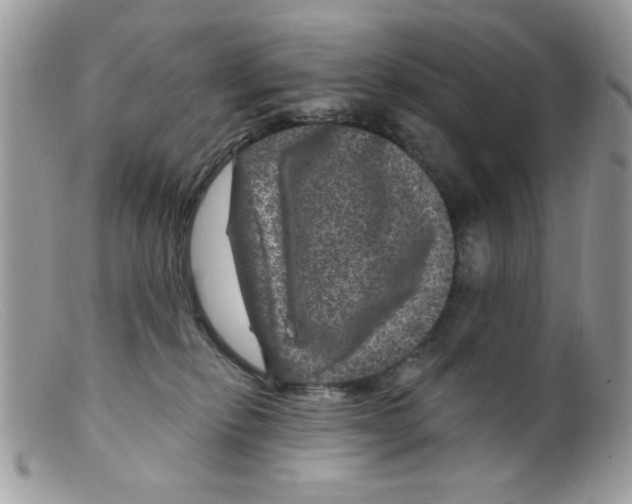 X0000098150278200805151212