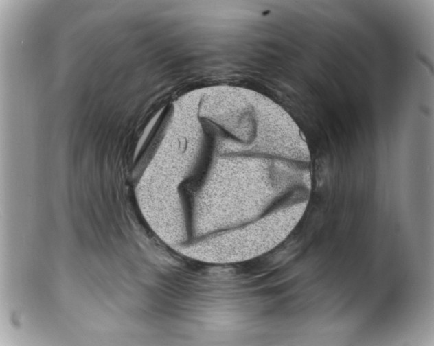 X0000098150279200805151212