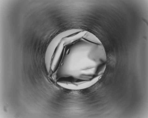 X0000098150280200805151212