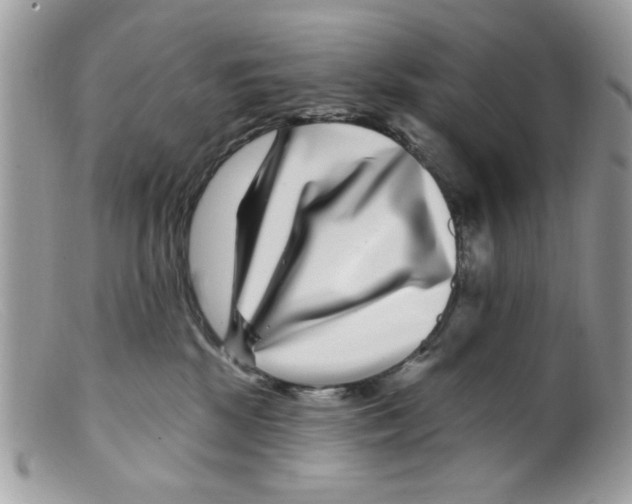 X0000098150281200805151212