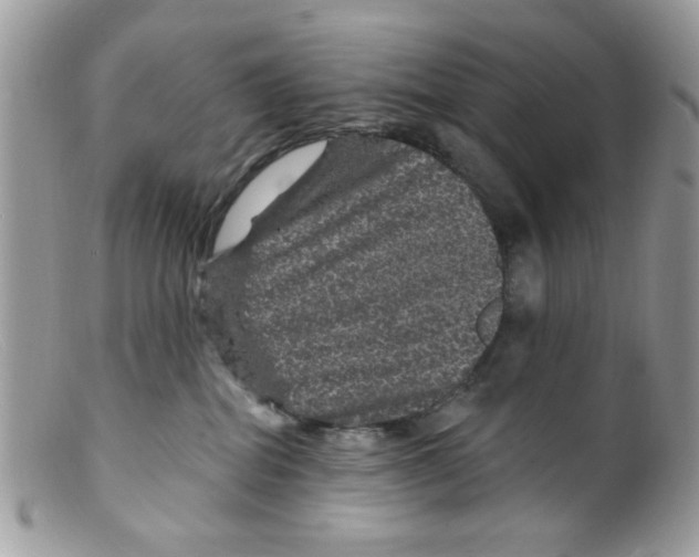 X0000098150282200805151212