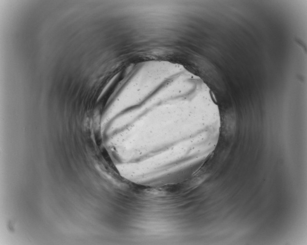 X0000098150284200805151212