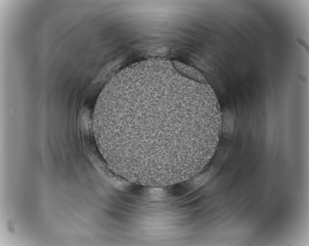 X0000098150287200805151212