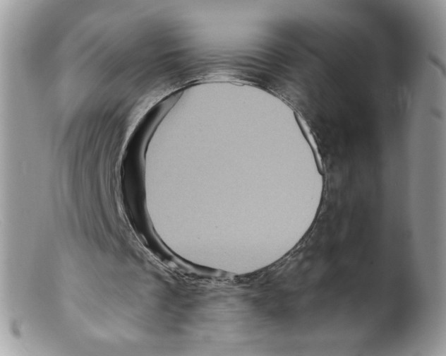 X0000098150289200805151211