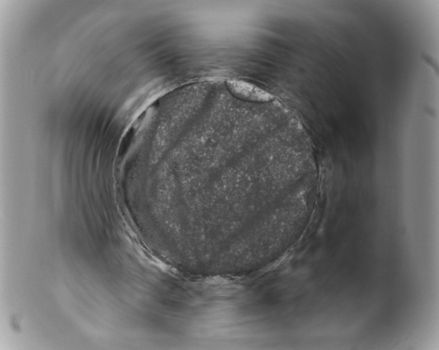 X0000098150290200805151211