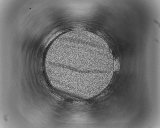 X0000098150291200805151211