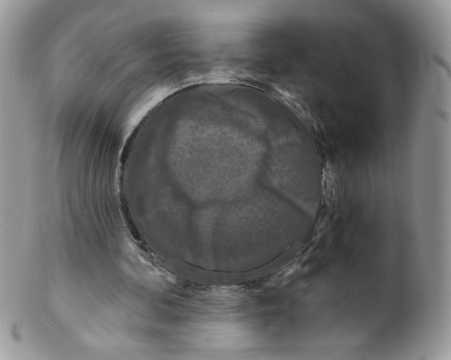 X0000098150292200805151211