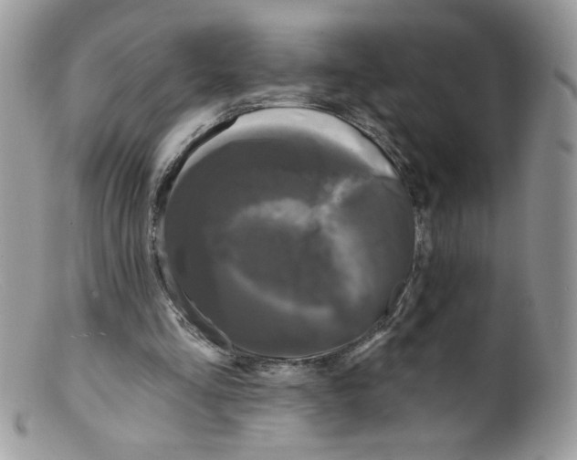 X0000098150293200805151211