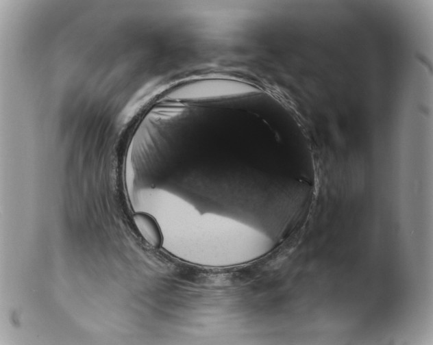 X0000098150295200805151211