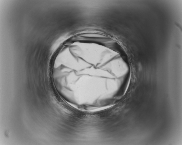 X0000098150296200805151211