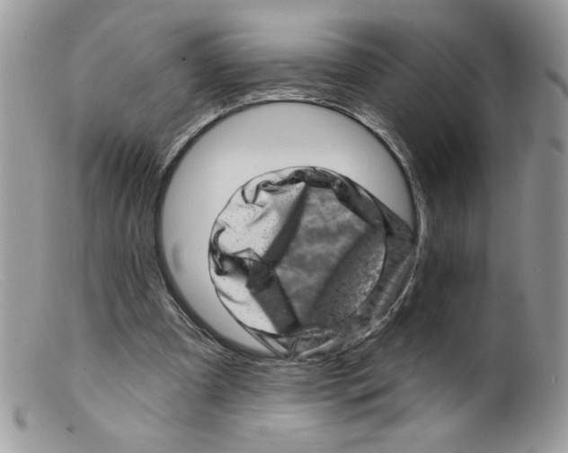 X0000098150297200805151211