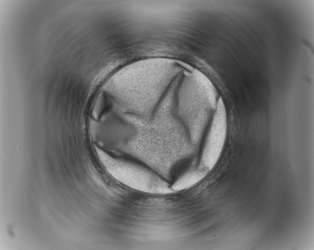 X0000098150298200805151211