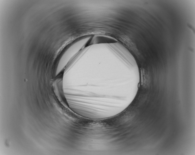 X0000098150300200805151211