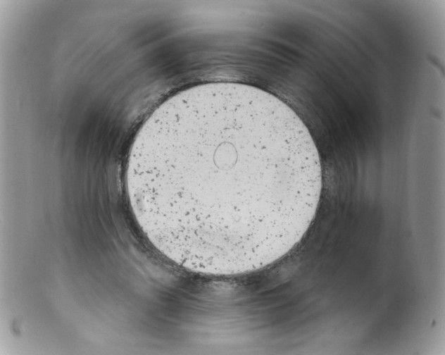 X0000098150302200805151211