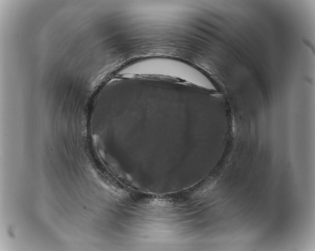 X0000098150303200805151211