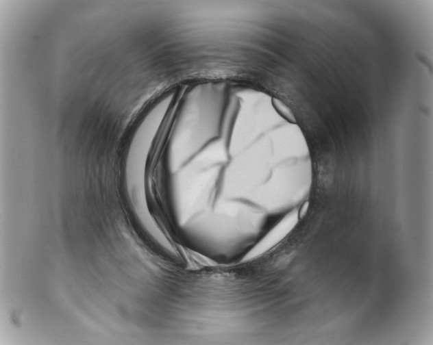 X0000098150304200805151211